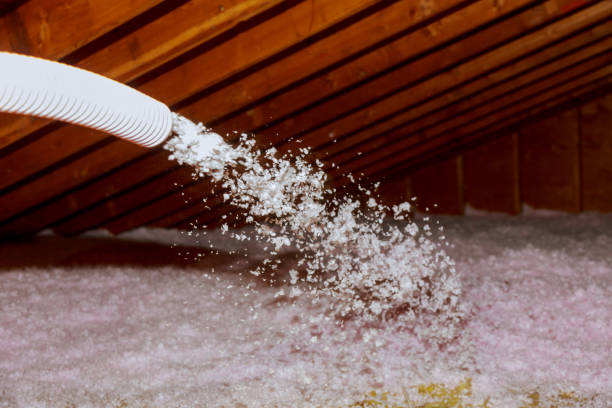 Types of Insulation We Offer in Beloit, WI
