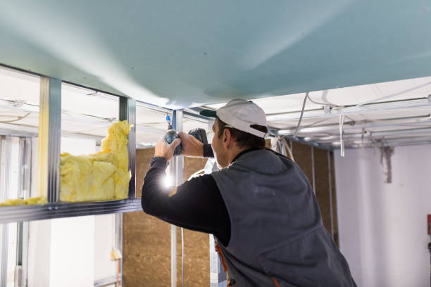 Best Specialized Insulation Services in Beloit, WI